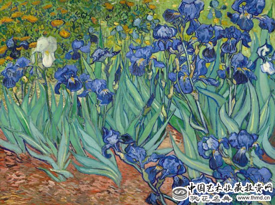 TOP7.《鸢尾花》(Irises，1889)，5390万美元