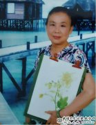 艺术典范——最具收藏价值艺术家辛茂芳